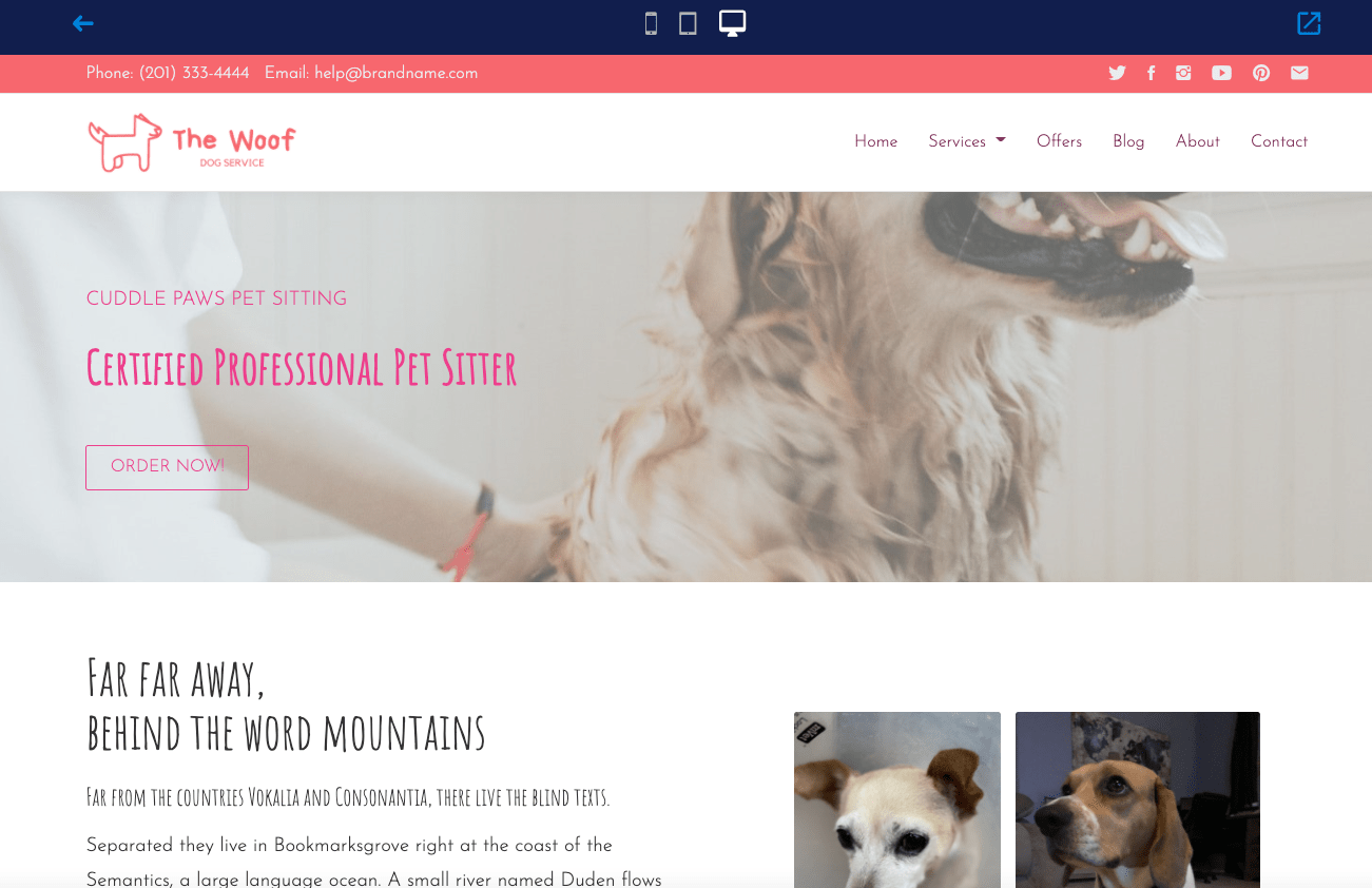 Dog Walker Pet Care Giver Website Template